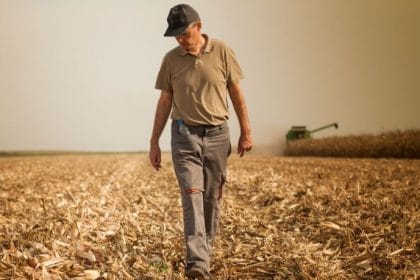 Carlos Eduardo Moraes Nunes