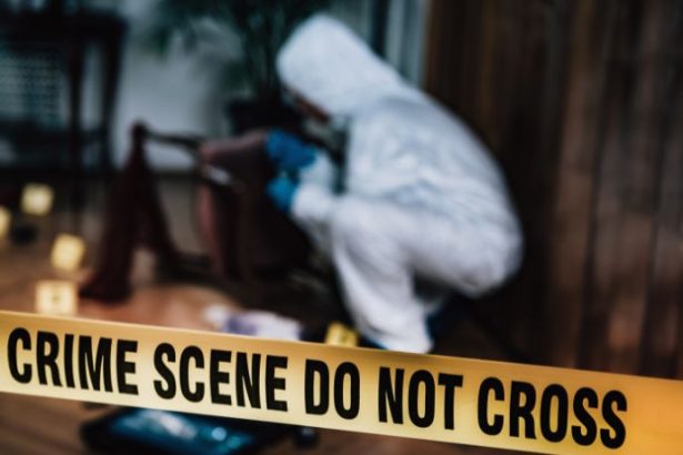 Alexandre Victor De Carvalho