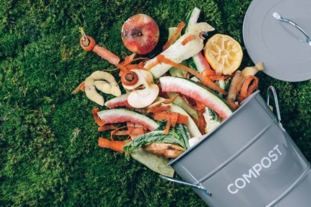 Daniel Tarciso da Silva Cardoso