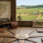 Parajara Moraes Alves Junior