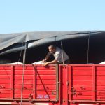 Homem inspeciona a carga de um caminhão vermelho ao ar livre.
